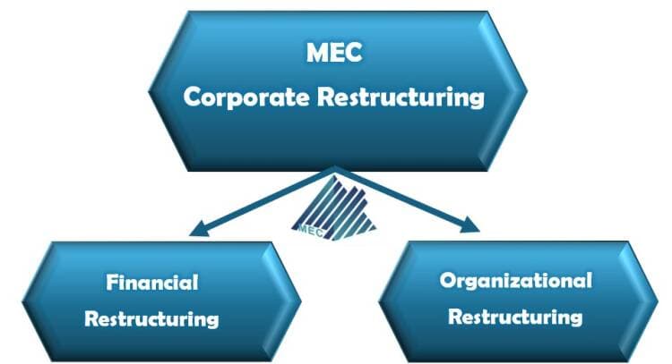 RESTRUCTURE, FEASIBILITY STUDIES AND FINANCIAL SOLUTIONS